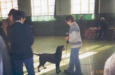 �� ��������...